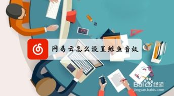 網(wǎng)易云音樂(lè)與云直聘的鯨魚(yú)音效設(shè)置指引
